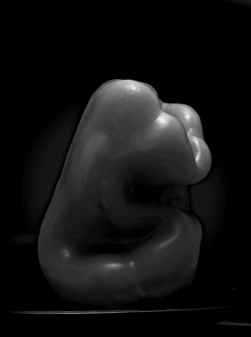 Pepper #33