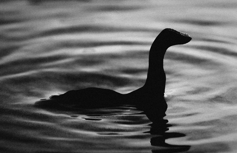 Loch Ness Monster