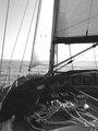 Sailing Away