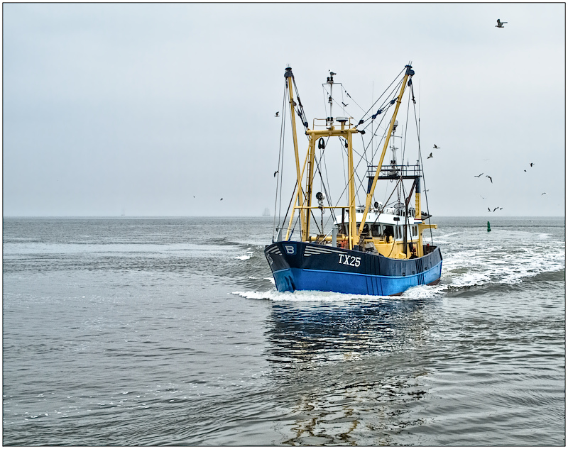 Returning home with the catch