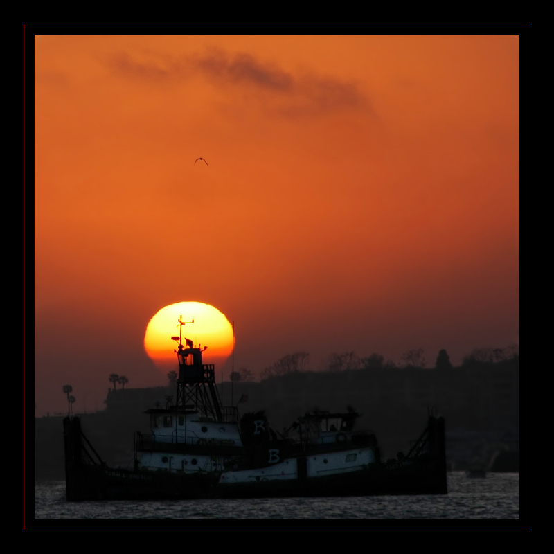 Evening at a harbor