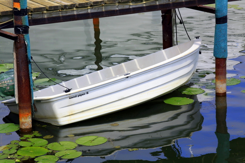 Neglected under the dock