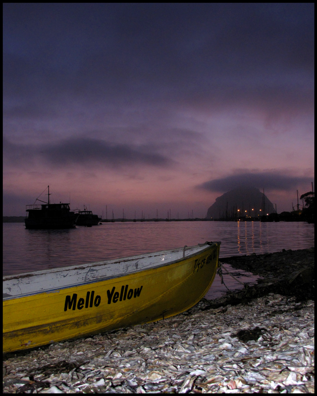 Mello Yellow in Morro Bay