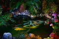 Midnight Pond