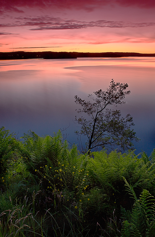 As time goes by this evening