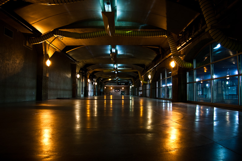 The Nightly Concourse