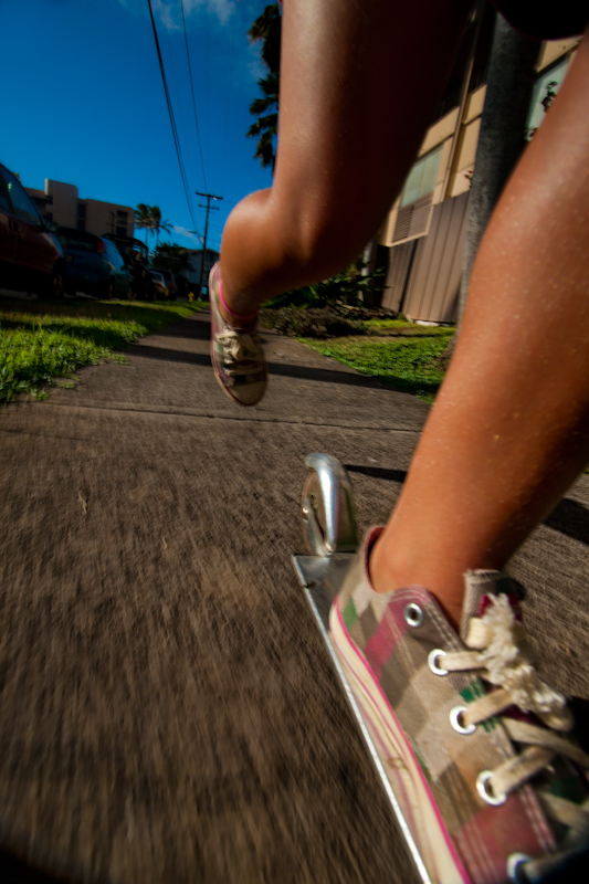 Soaring Scooter of Summer