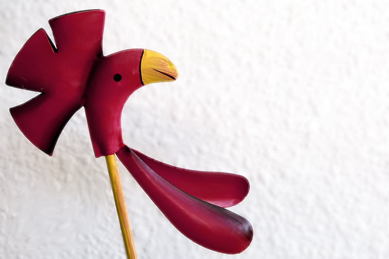 roosterhead
