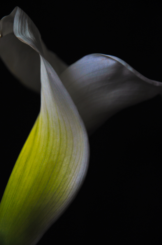 Natural curvature