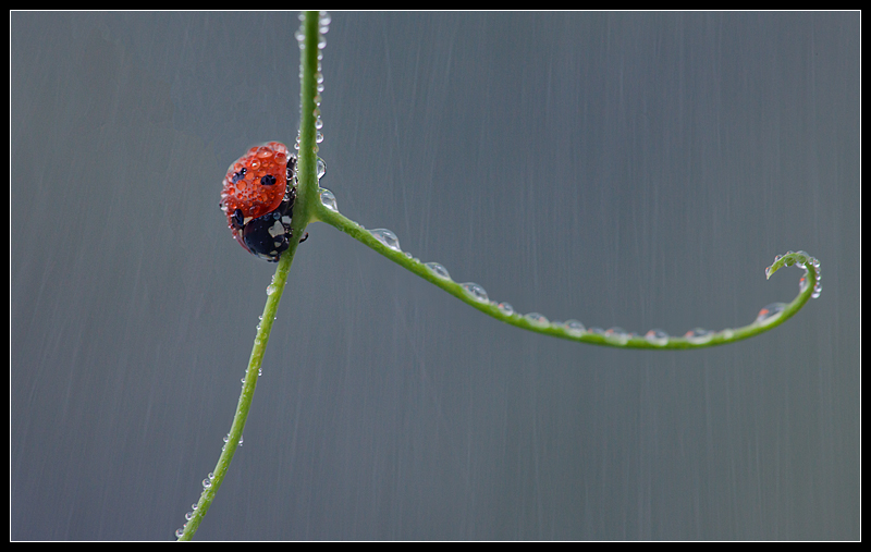 Hunkered Down