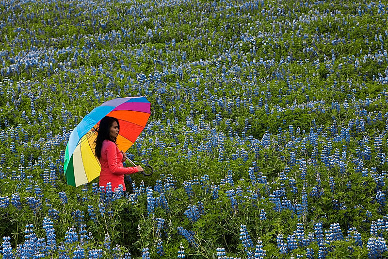 Beauty in the Field