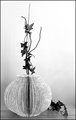 Book Vase