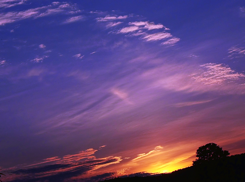 Summer Solstice Sunset Silhouette