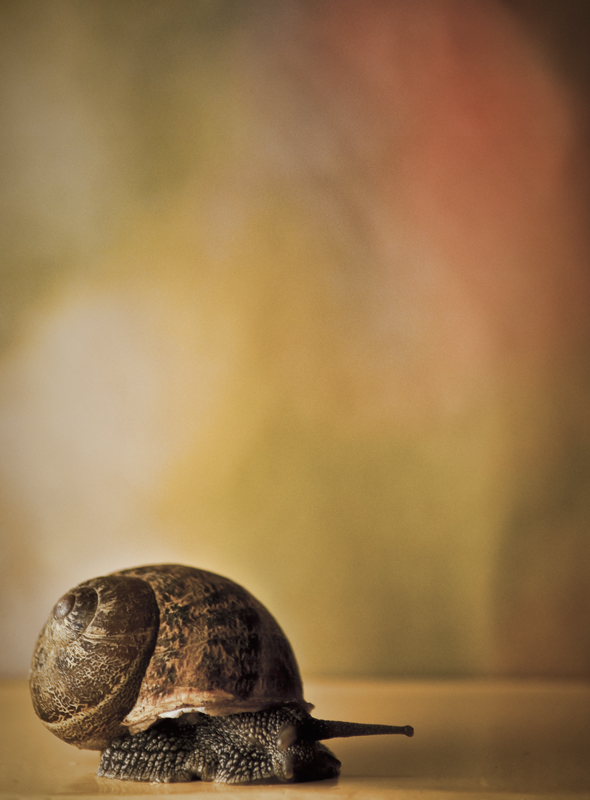 Tough, but a little "slow"