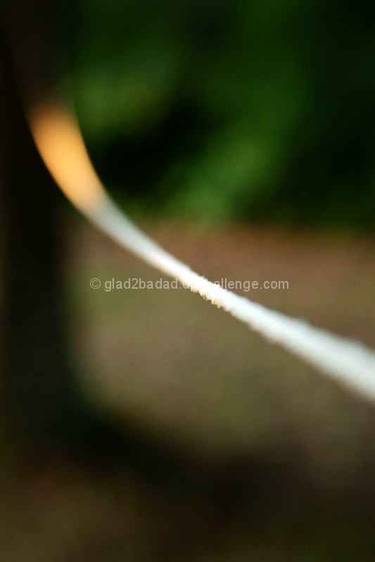 50