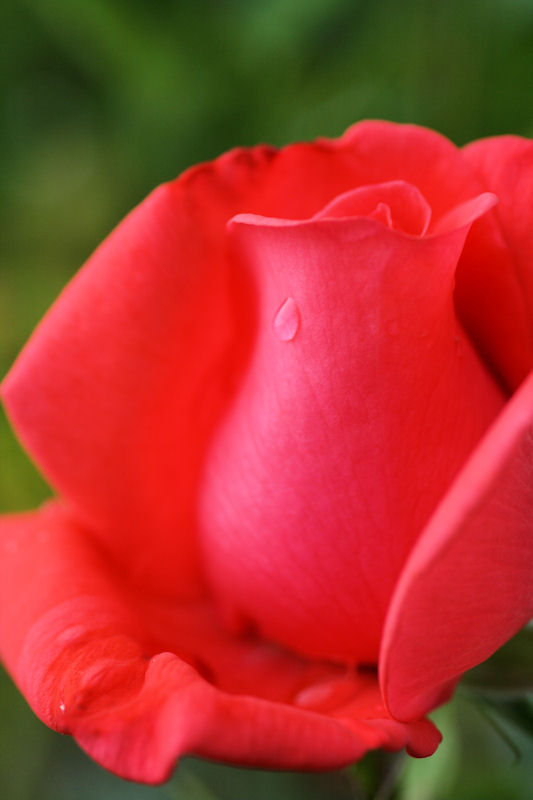Beauty is in the eye 