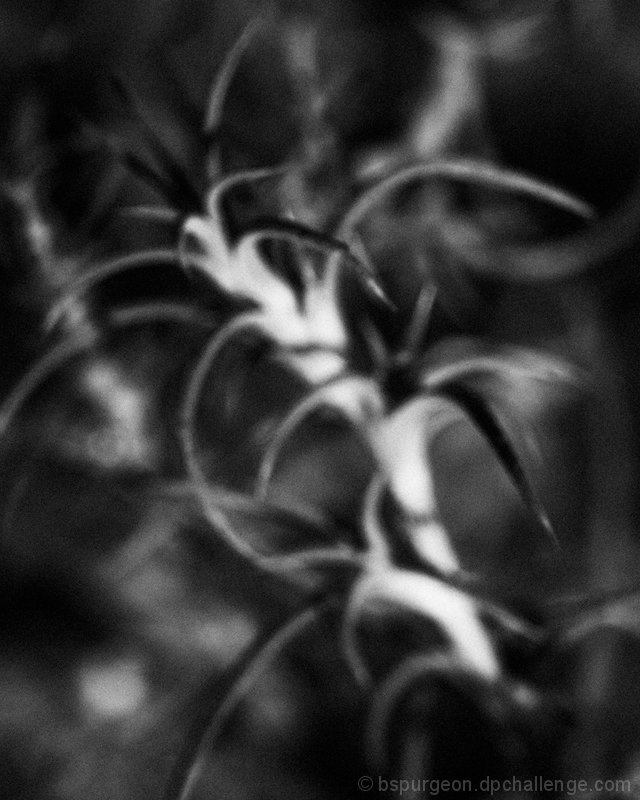 Neuron