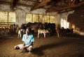 An Apprentice Herder