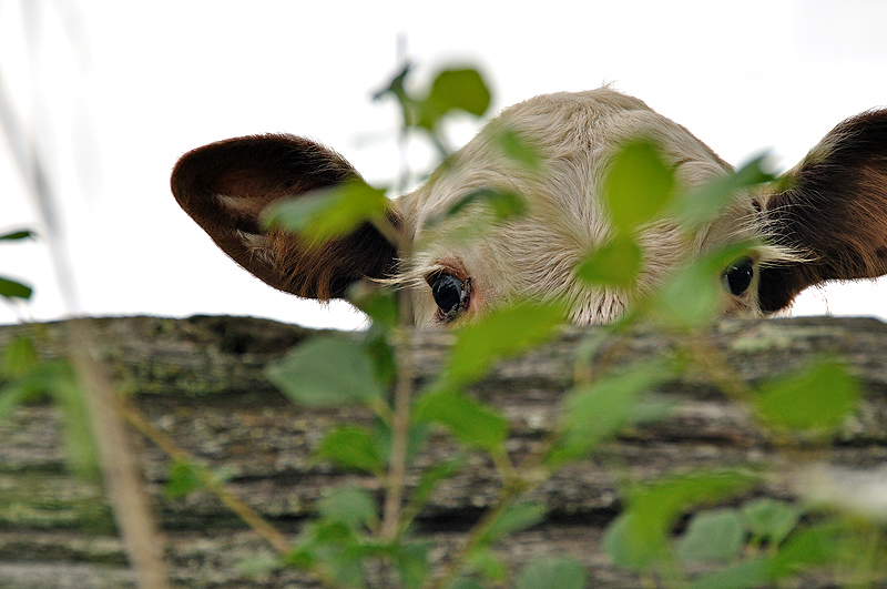 I see you!