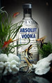 Absolut Discovery