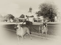 Jim and Pups