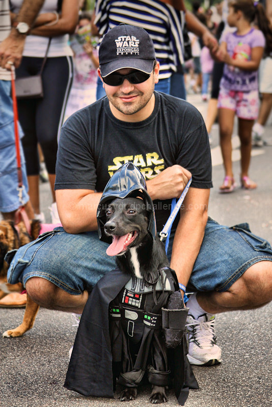 May the force be with you