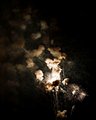 And The Rocket's Red Glare...