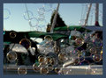 Boats and Bubbles