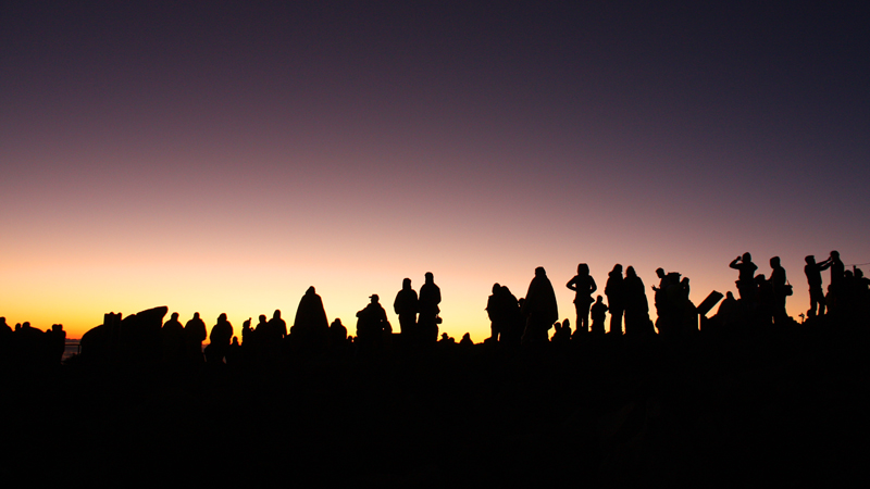 Sunrise Silhouettes