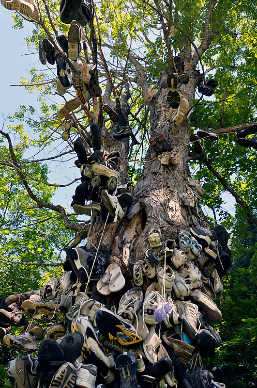 Soul Tree