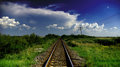 standard gauge