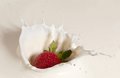 Strawberry Splash