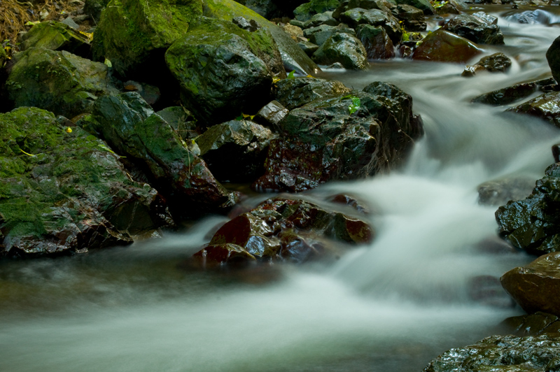 Flowing Stream