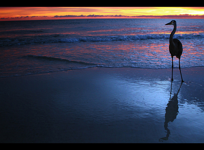 Sunset Sentinel