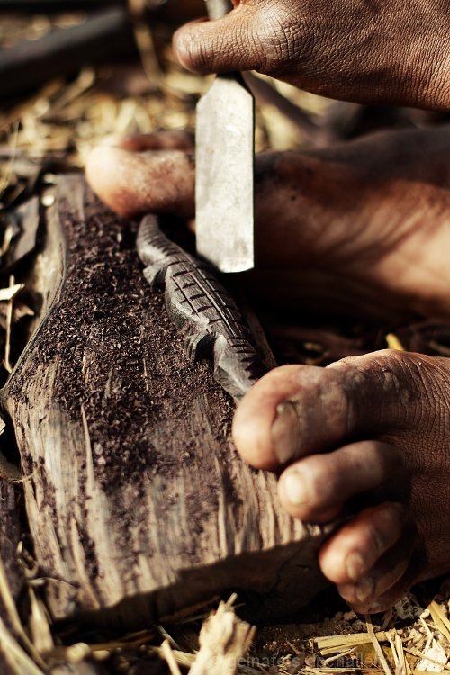 To Carve a Crocodile