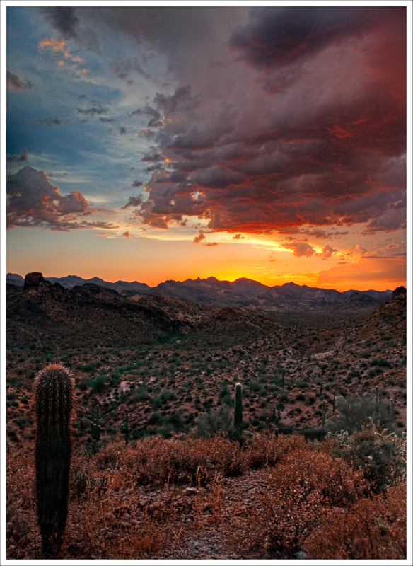 Arizona Sunset