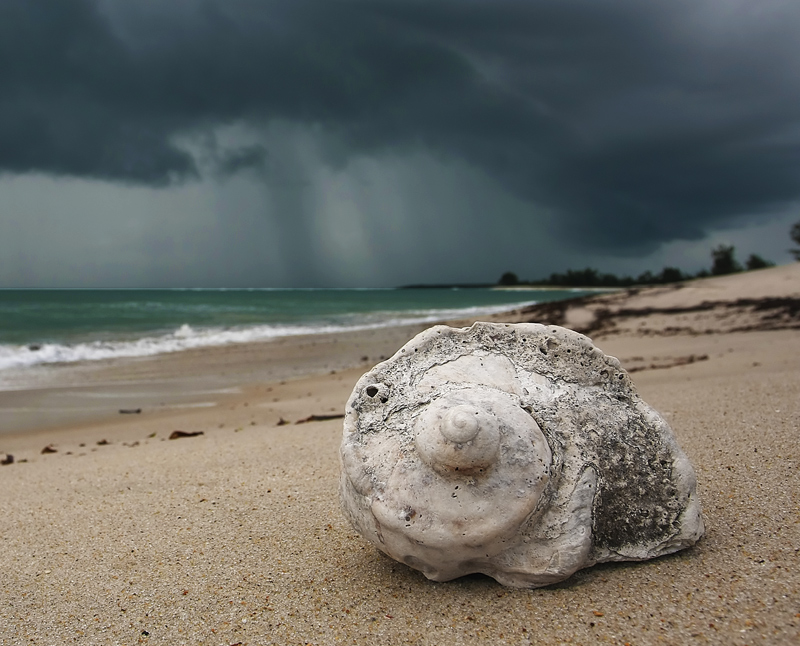 Old Man of the Sea