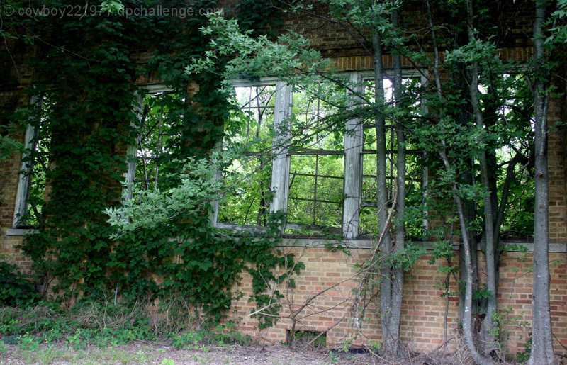 The Abandoned School House