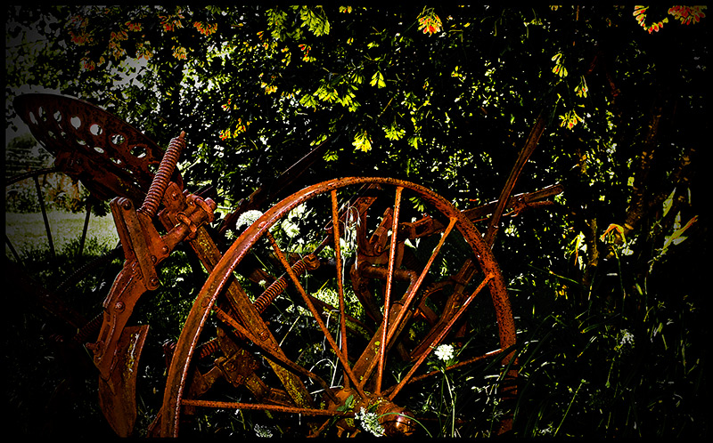 Plowing Under Raining Flowers