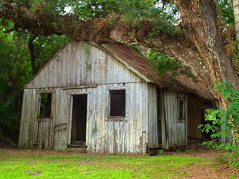 Tucked Away and Forgotten