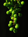Wine Spheres
