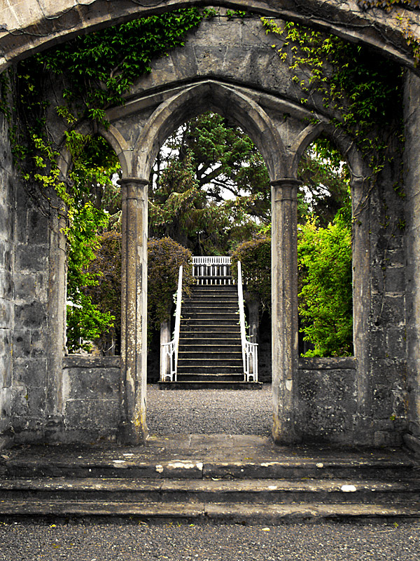 Abandoned Buildings - Back to Nature