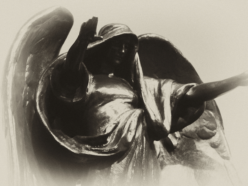 The Dark Angel