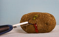 Tumour Removal Operation