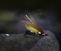 Salmon fly 