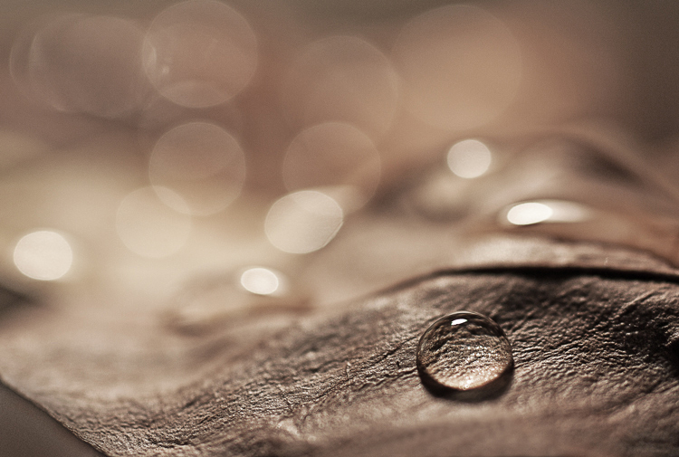 Dew on leaf