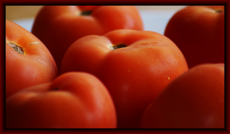 I Love Tomatoes!