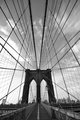 Brooklyn Wide Web