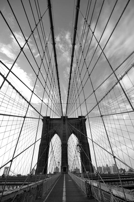 Brooklyn Wide Web