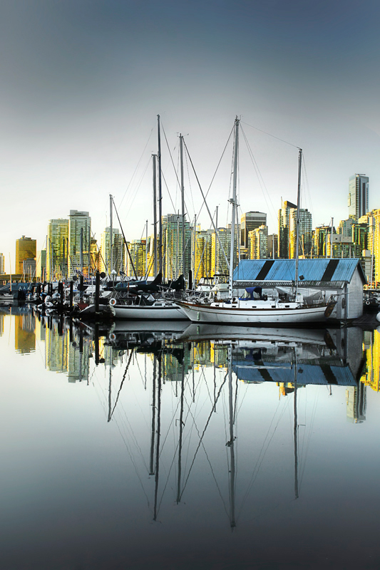 Colors of Coal Harbor